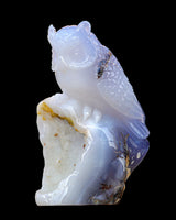 6.5" Blue Chalcedony Hand Carved Crystal Owl