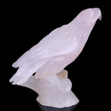 6.7" Rose Quartz Hand Carved Crystal Parrot