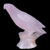 6.7" Rose Quartz Hand Carved Crystal Parrot