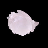 6.7" Rose Quartz Hand Carved Crystal Parrot
