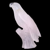 6.7" Rose Quartz Hand Carved Crystal Parrot