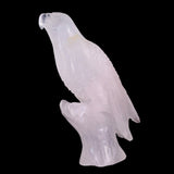 6.7" Rose Quartz Hand Carved Crystal Parrot