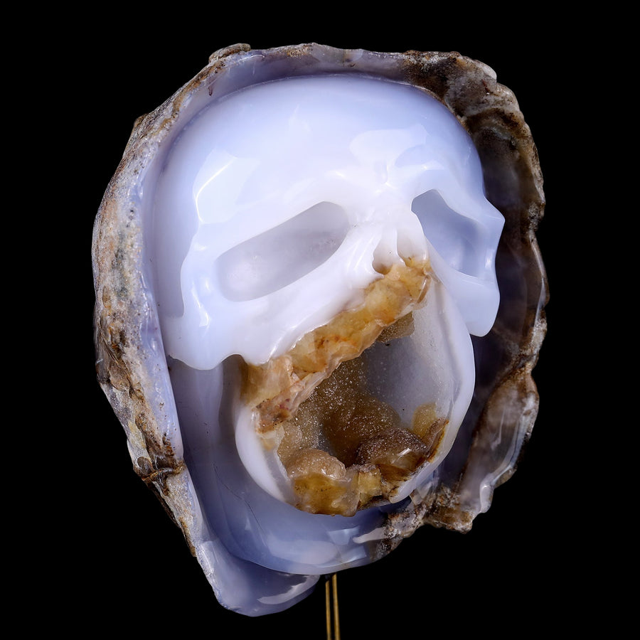 6.9" Blue Chalcedony Hand Carved Skull