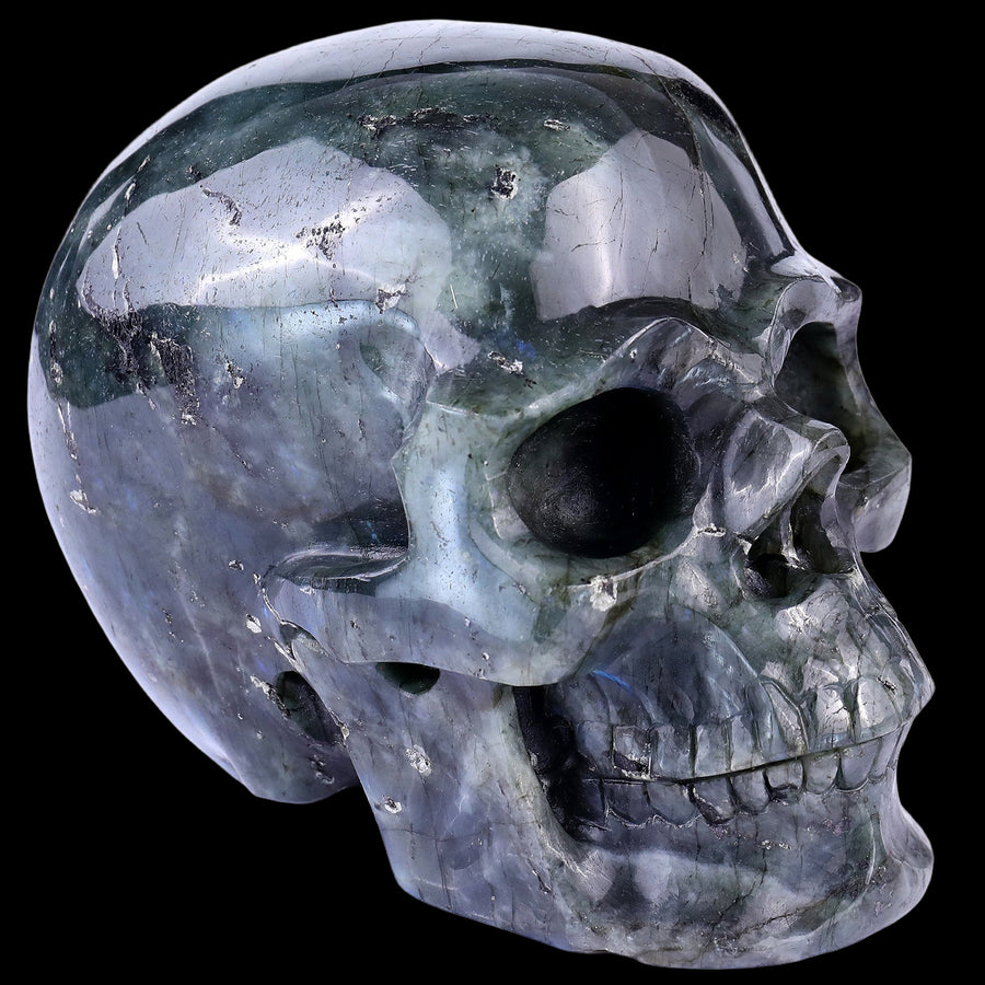 6.9" Blue Labradorite Hand Carved Realistic Skull