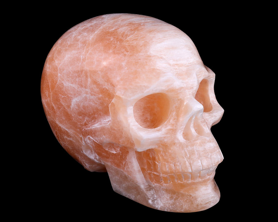 6.9" Orange Selenite Hand Carved Realistic Skull