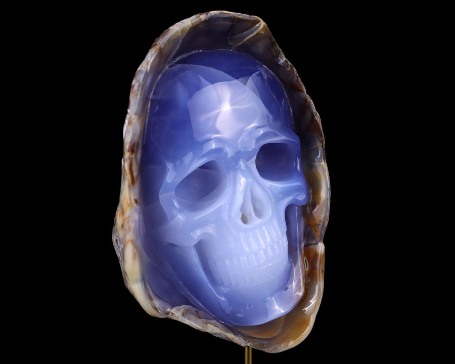 7.5×5.1×2.4" Blue Chalcedony Hand Carved Skull