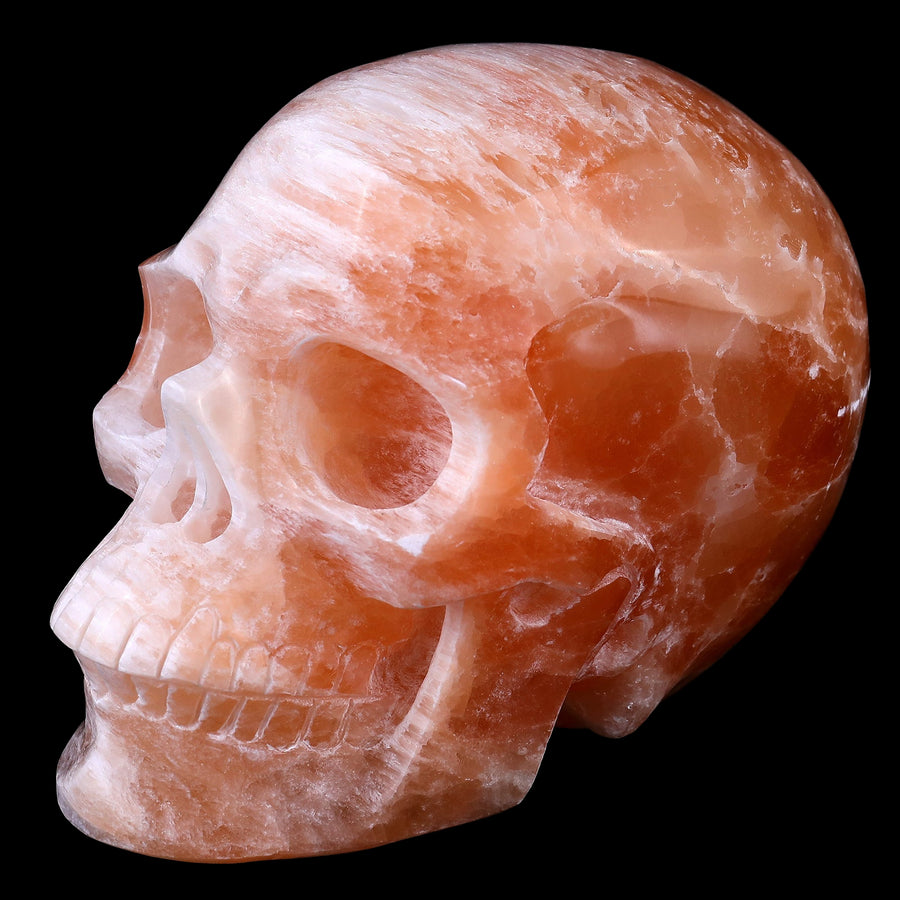7.7" Orange Selenite Hand Carved Realistic Skull