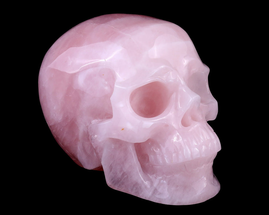 7.7" Rose Quartz Hand Carved Realistic Skull