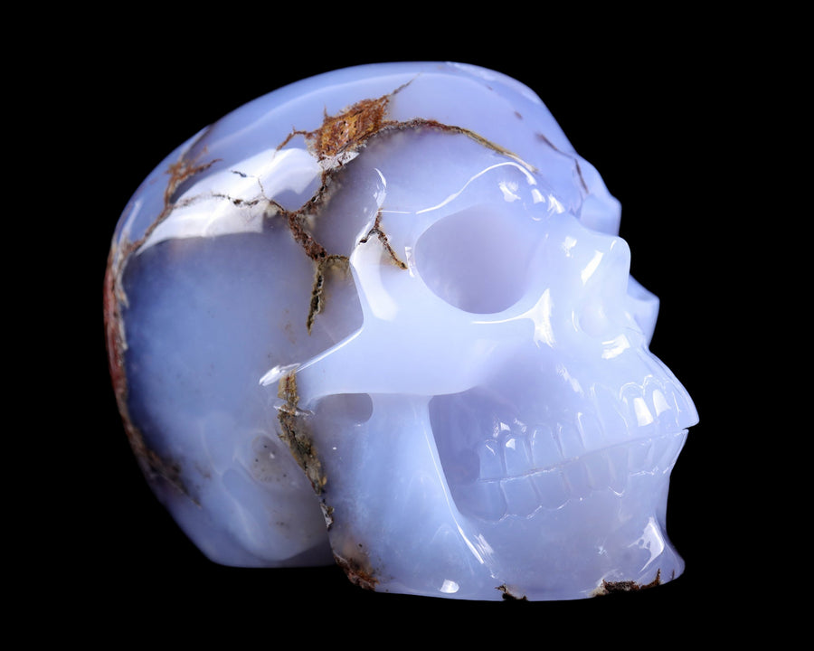 7.9" Blue Chalcedony Hand Carved Huge Realistic Skull