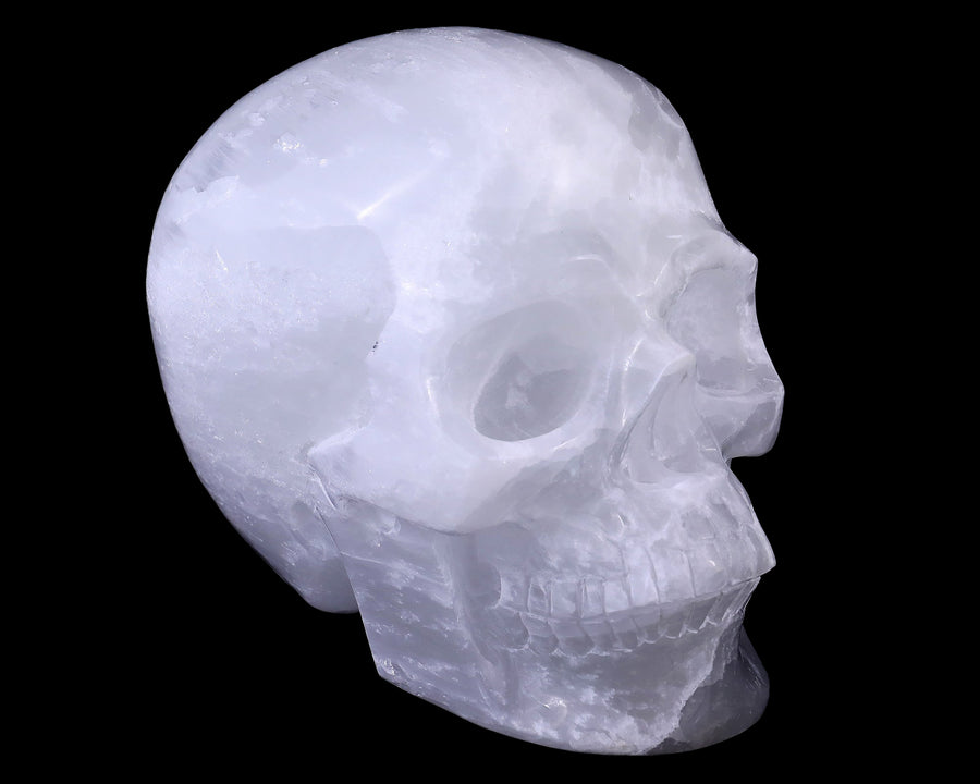 8.3" Selenite Hand Carved Crystal Realistic Skull