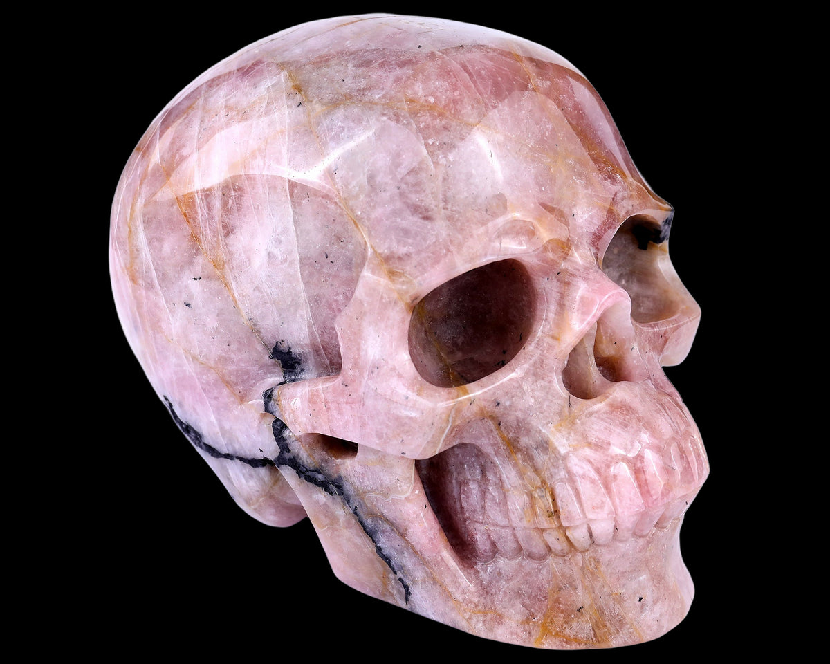 Kindredvein 8.5" Rubellite Tourmaline Hand Carved Realistic Skull (SKU: 5100081) - Photo 1