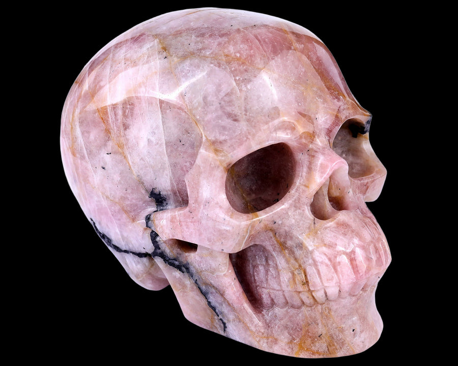 8.5" Rubellite Tourmaline Hand Carved Realistic Skull