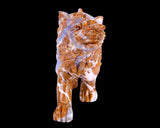 9.8" Chalcedony Hand Carved Crystal Wolf