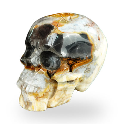 Kindred Vein 2.2" Red Crazy Lace Agate Hand Carved Crystal Realistic Skull Sculpture (SKU: SKH20RC06) - Photo 47