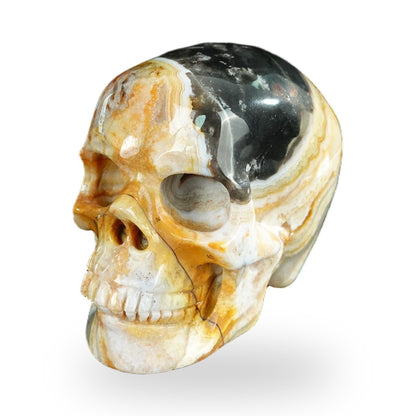 Kindred Vein 2.2" Red Crazy Lace Agate Hand Carved Crystal Realistic Skull Sculpture (SKU: SKH20RC20) - Photo 160