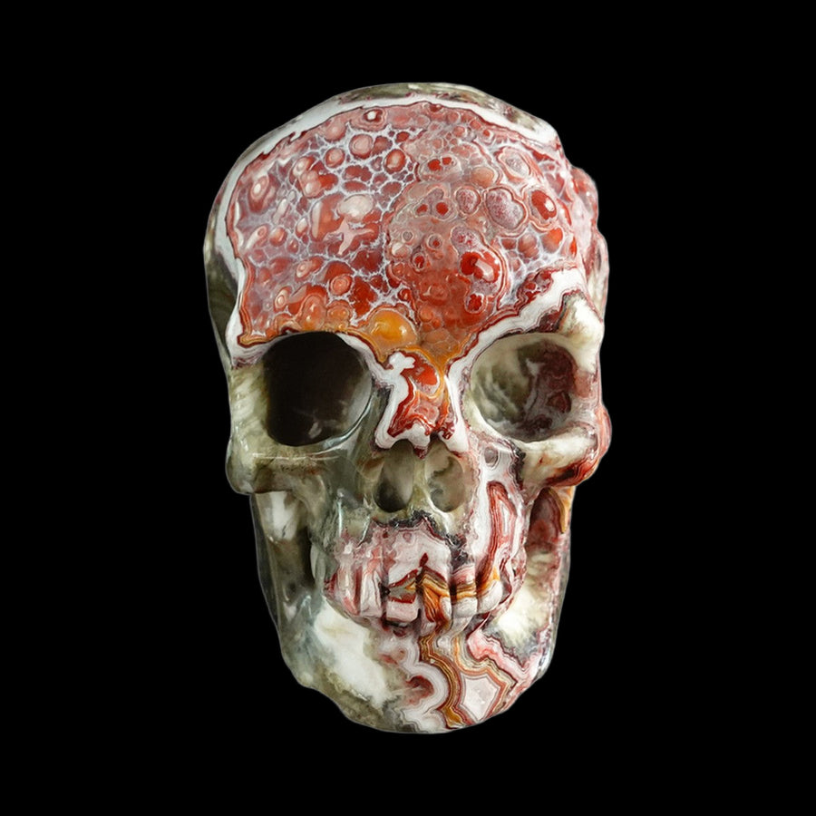 3" Red Crazy Lace Agate Hand Carved Crystal Realistic Skull