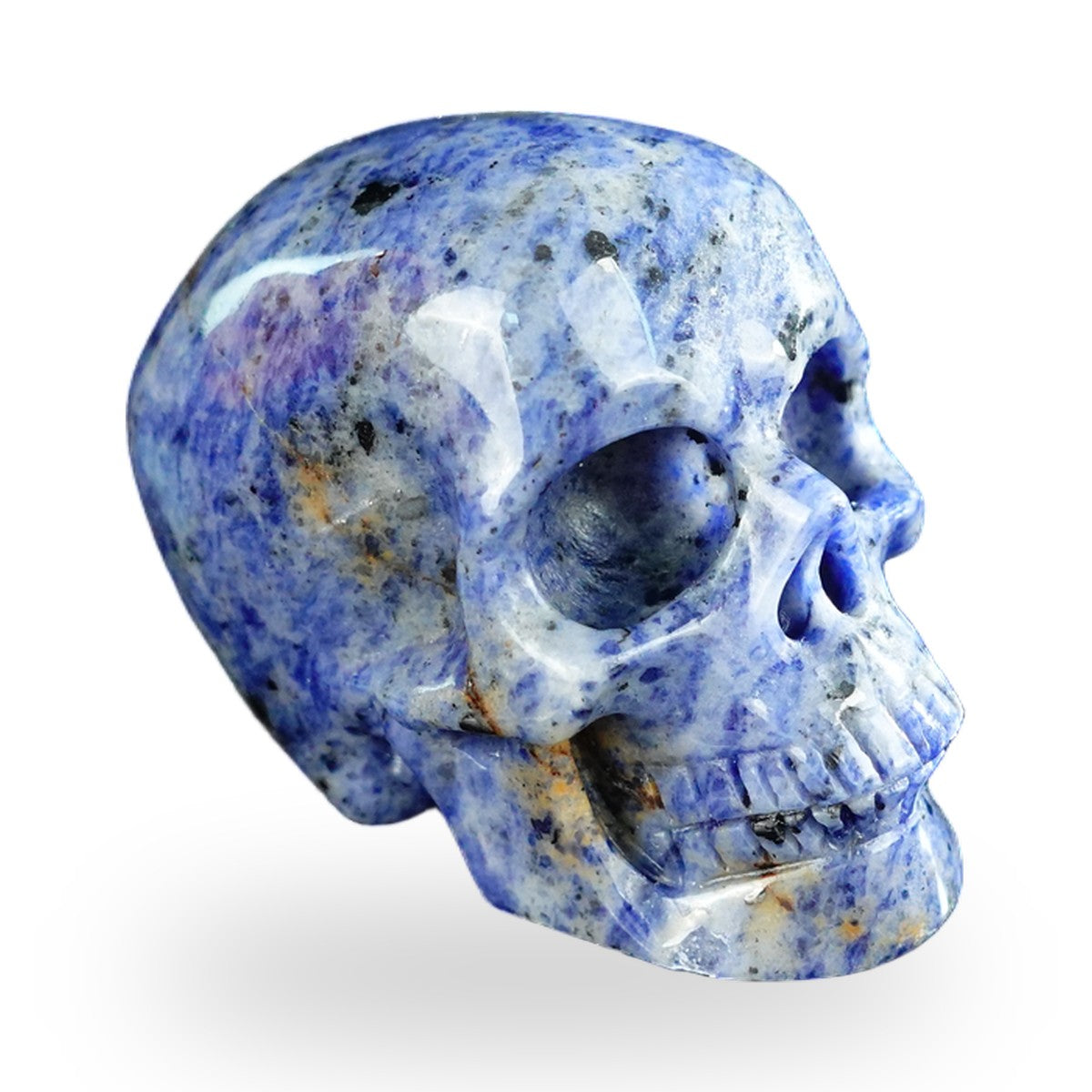 Kindred Vein 2.2" Sodalite Hand Carved Crystal Realistic Skull Sculpture (SKU: SKH20SL04) - Photo 28