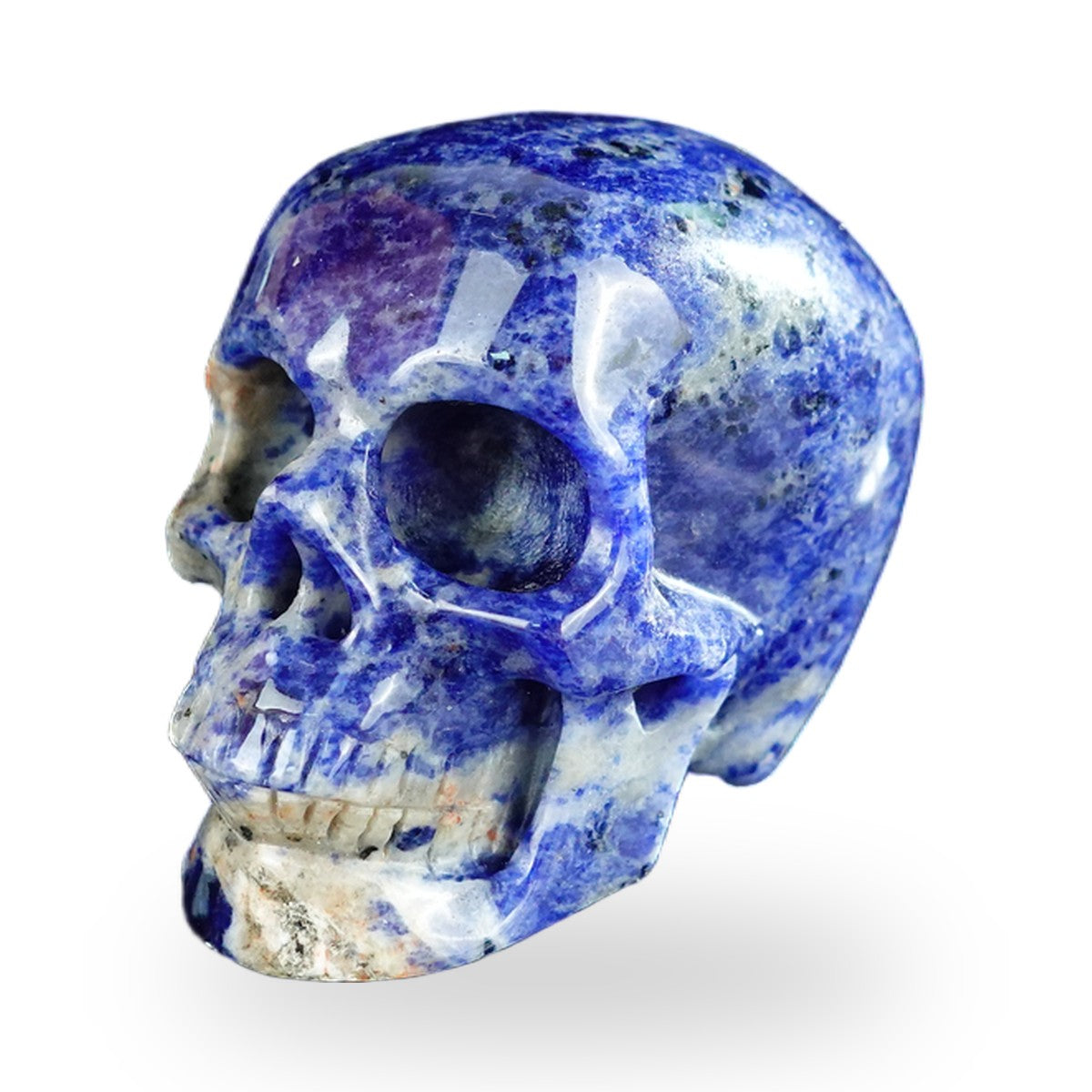 Kindred Vein 2.2" Sodalite Hand Carved Crystal Realistic Skull Sculpture (SKU: SKH20SL07) - Photo 56