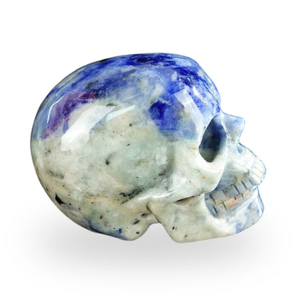 Kindred Vein 2.2" Sodalite Hand Carved Crystal Realistic Skull Sculpture (SKU: SKH20SL11) - Photo 85