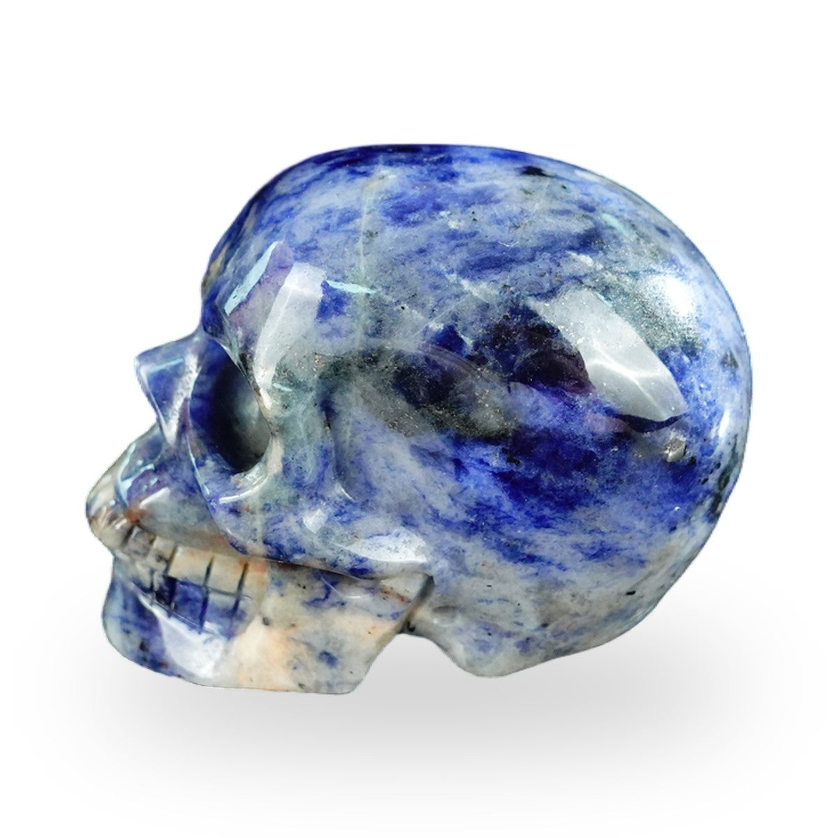 Kindred Vein 2.2" Sodalite Hand Carved Crystal Realistic Skull Sculpture (SKU: SKH20SL11) - Photo 86