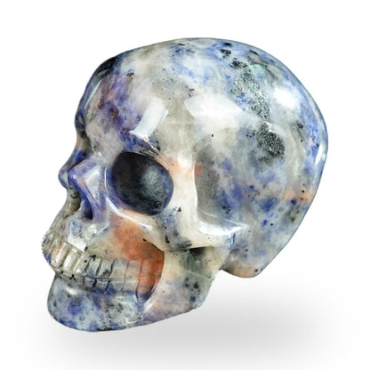 Kindred Vein 2.2" Sodalite Hand Carved Crystal Realistic Skull Sculpture (SKU: SKH20SL12) - Photo 95