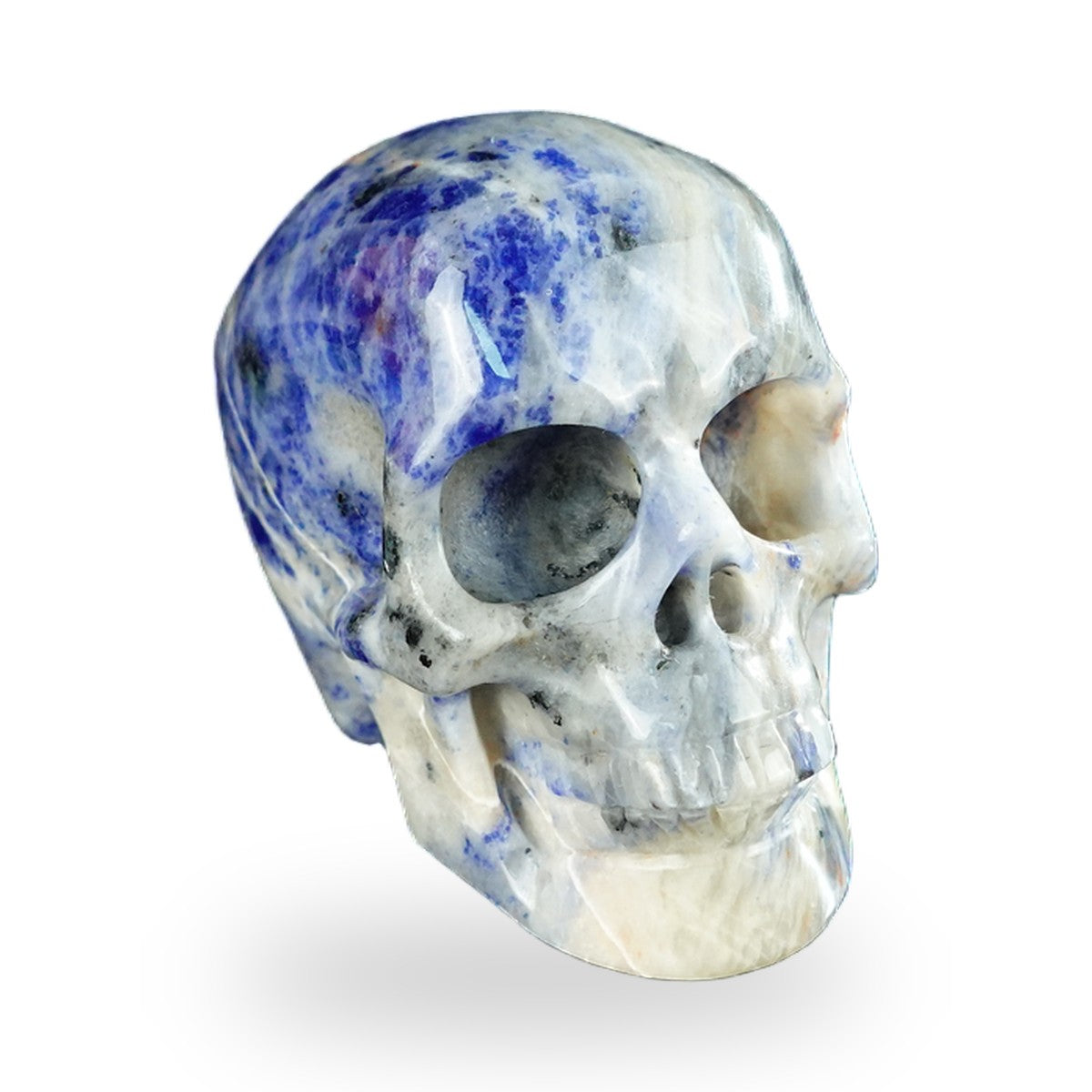Kindred Vein 2.2" Sodalite Hand Carved Crystal Realistic Skull Sculpture (SKU: SKH20SL15) - Photo 115