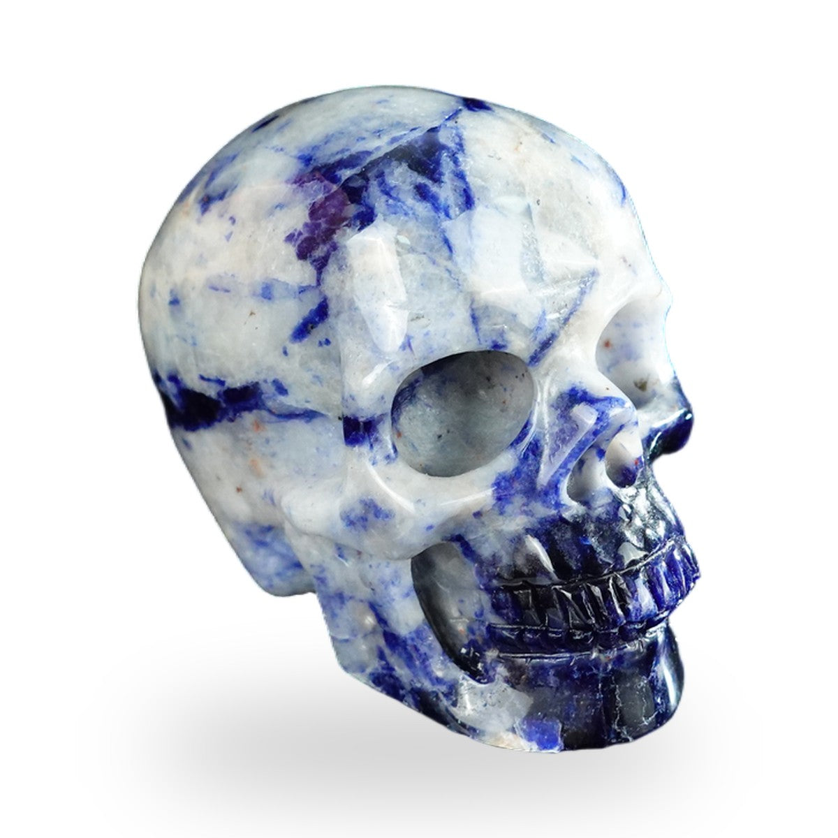 Kindred Vein 2.2" Sodalite Hand Carved Crystal Realistic Skull Sculpture (SKU: SKH20SL18) - Photo 140
