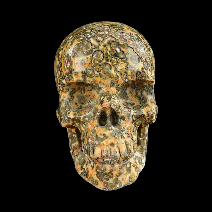 4.5" Yellow Leopard Skin Jasper Hand Carved Crystal Realistic Skull